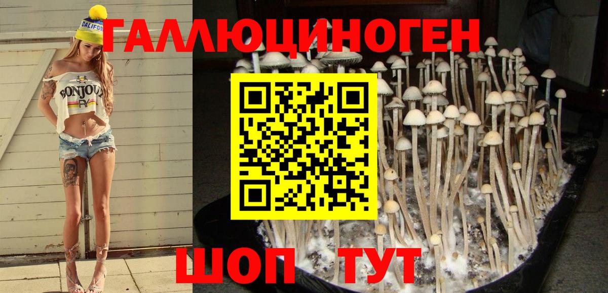 Галлюциногенные грибы GOLDEN TEACHER Кызыл