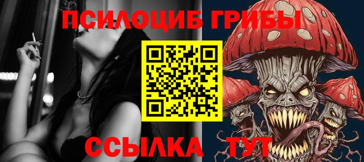 Псилоцибиновые грибы MAGIC MUSHROOMS  Вход с VPN  Псилоцибиновые грибы прущие грибы  даркнет сайт  Кызыл 